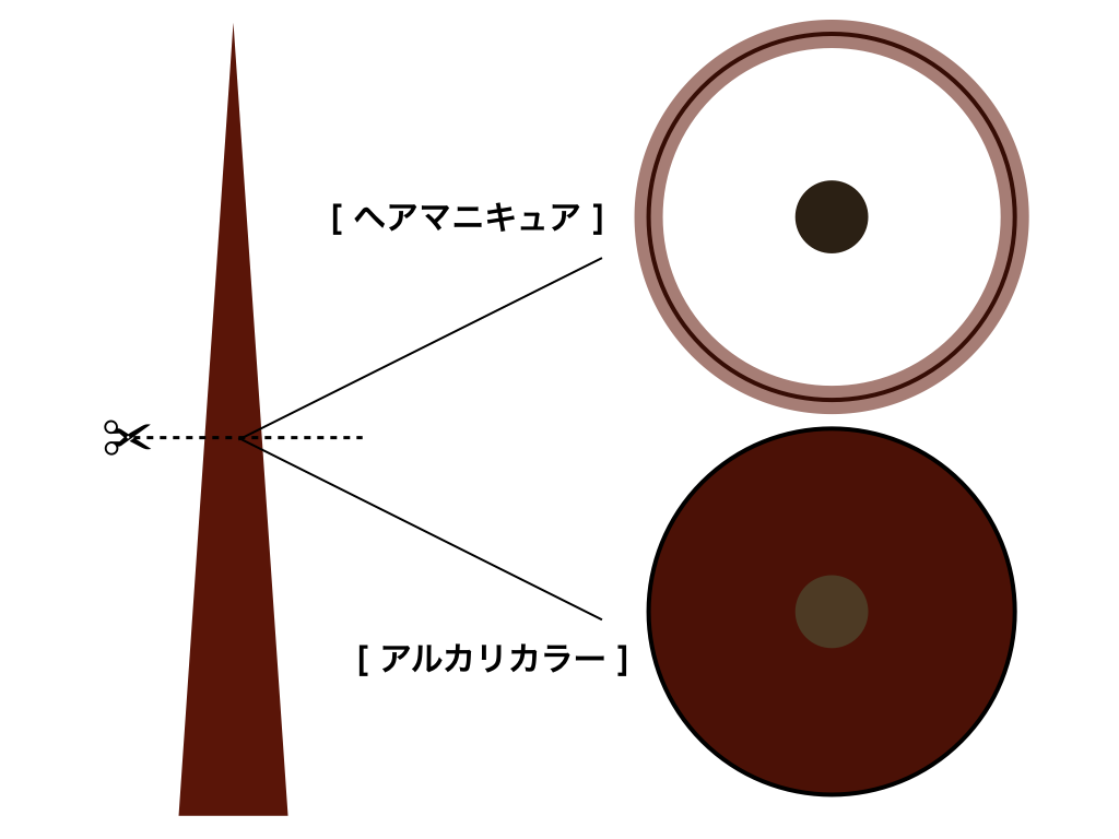 酸性カラーについて